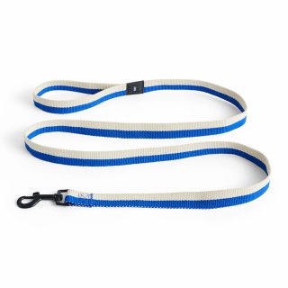 HAY Dog Flat Leash