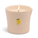 Paddywax Bistro Candle - Meyer Lemon