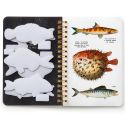 Judgy Fish Sticker Book