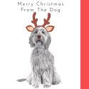 Merry Christmas From The Dog Card