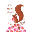 Nuts About You Valentines Card