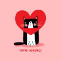 Purrfect Valentines Card