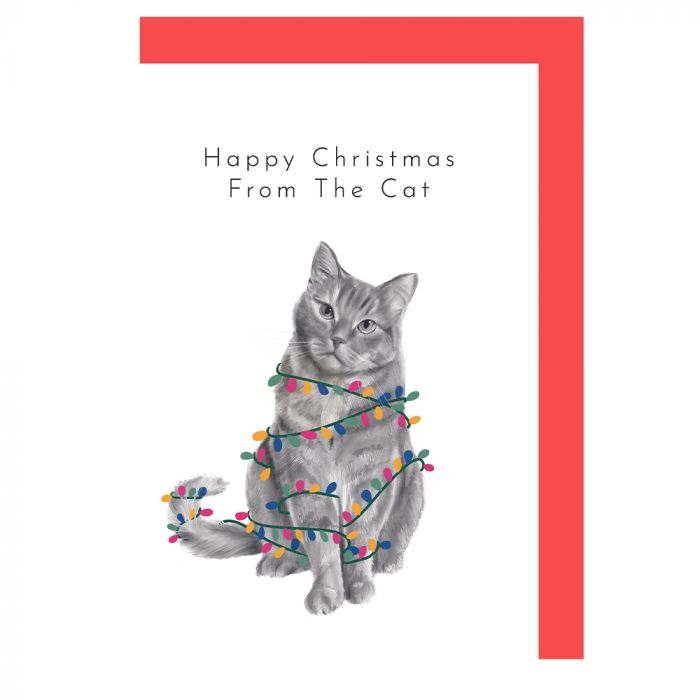 Happy Christmas From The Cat Card