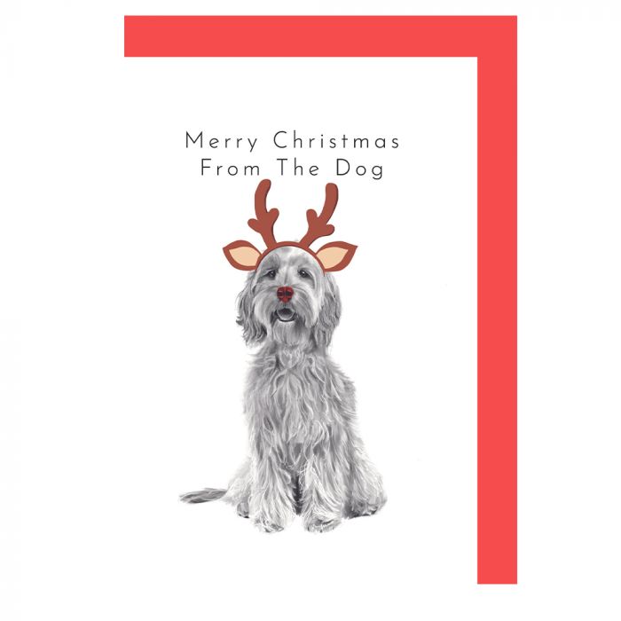 Merry Christmas From The Dog Card