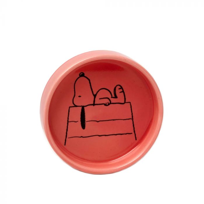 Peanuts - Snoopy Pin Dish Home